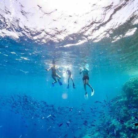 Zenzero E Limone Bed & Breakfast Syracuse