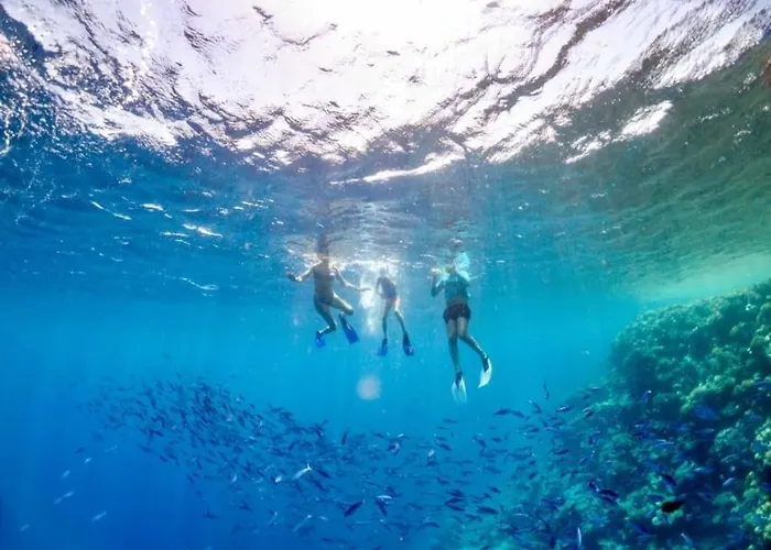 Zenzero E Limone Bed and breakfast Syracuse